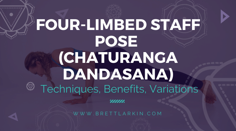 Four Limbed Staff Pose (Chaturanga Dandasana)