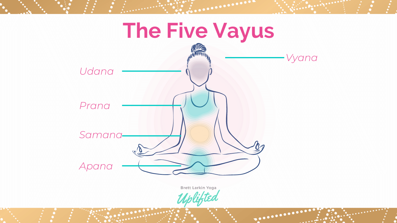 Vyana and Udana Vayu: Functions, Imbalance Signs and How to Balance -  Fitsri Yoga