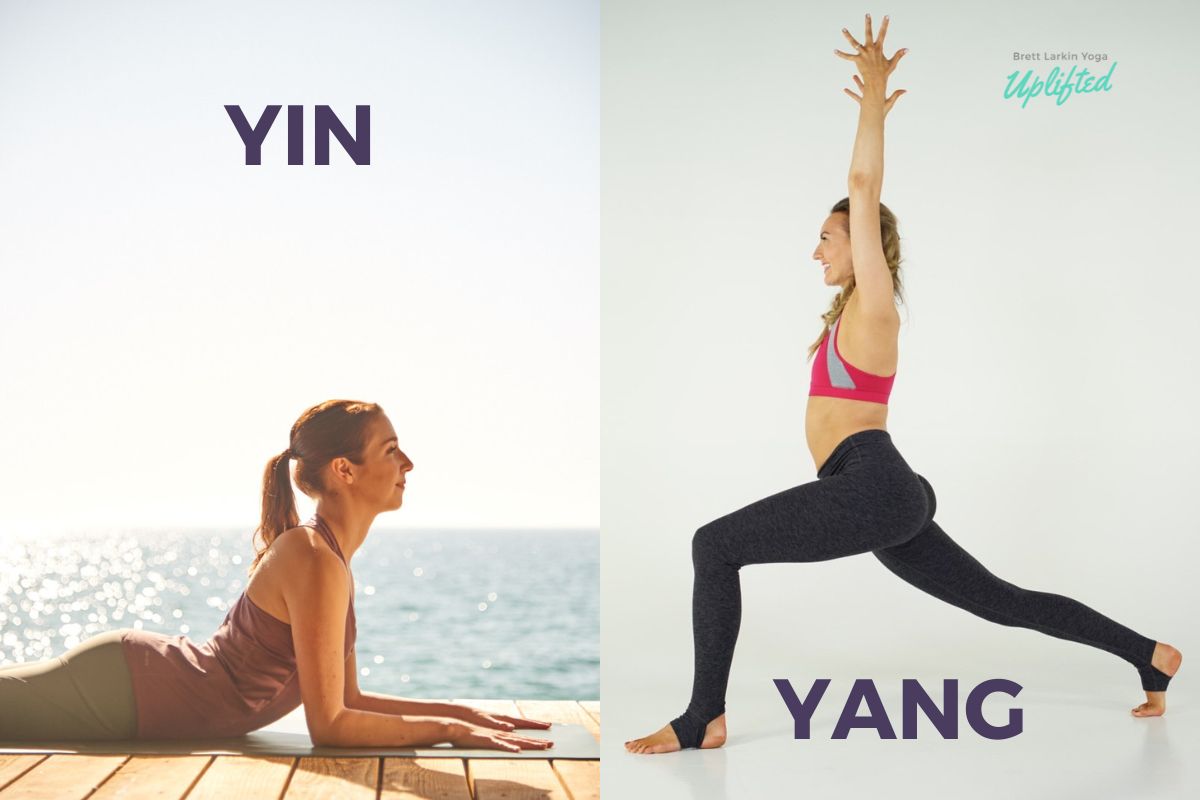 Enjoying More Yin in a Yang World  Yin yoga, Yin yang yoga sequence, Yin  yang yoga