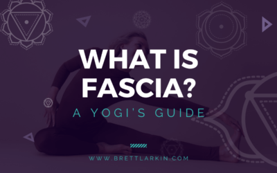 What Is Fascia In The Body? A Yogi’s Guide